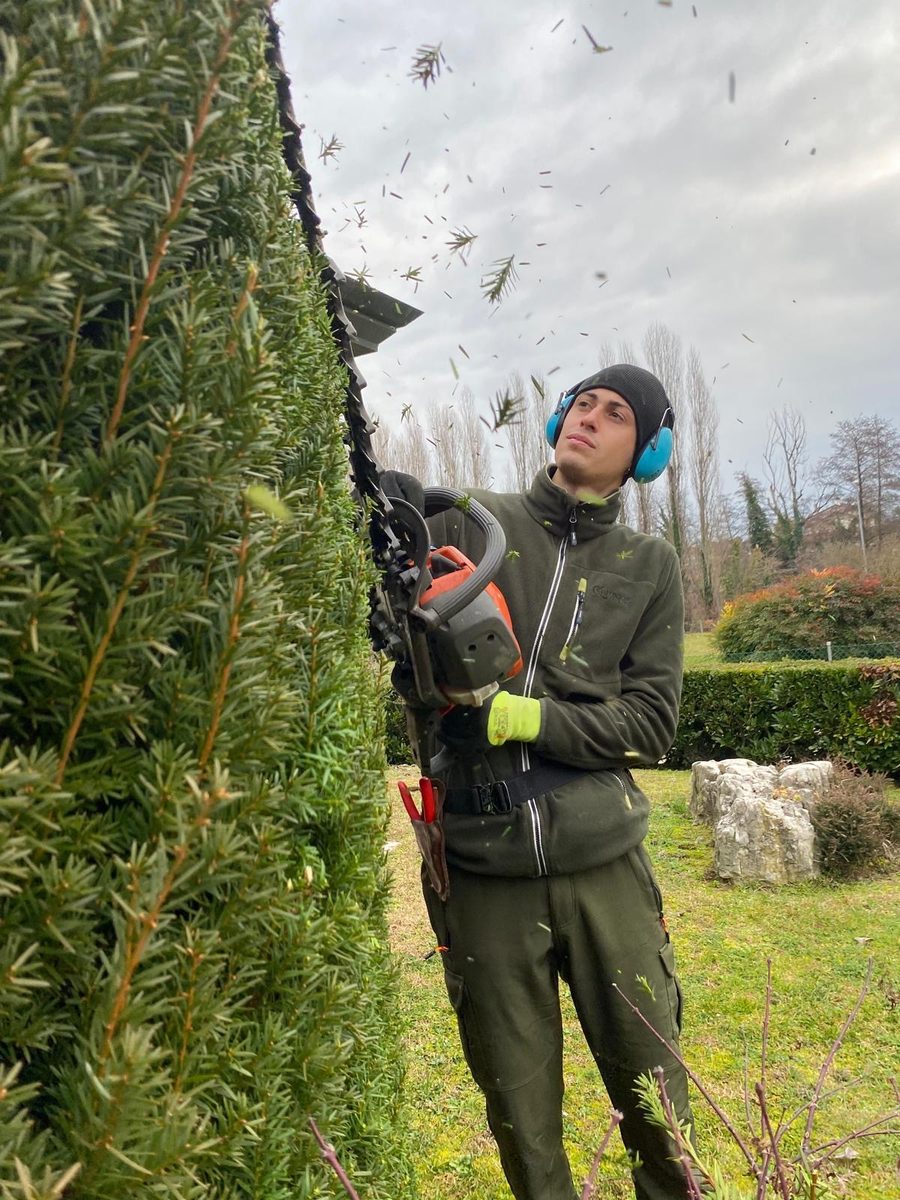 Michele Canton con le cuffie antirumore e il tagliasiepi in mano, mentre rifila il fianco di una siepe di tasso in un giardino.